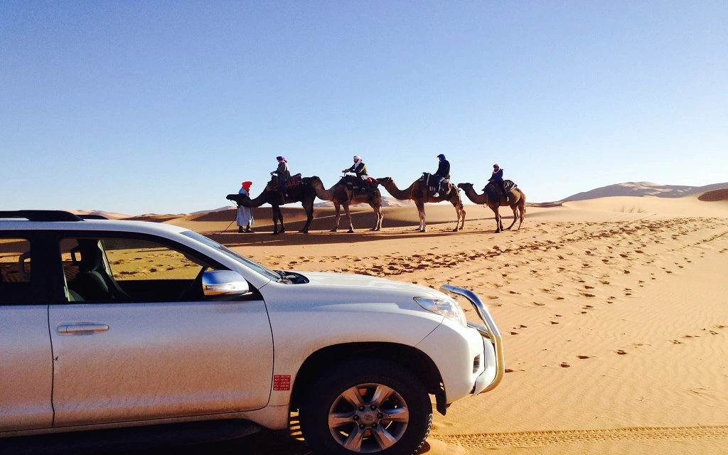 Camel Ride- A great way to enjoy the beautiful Arabian desert while in Dubai