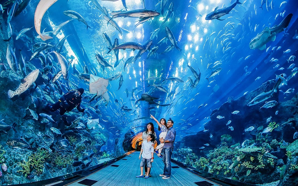 Dubai Aquarium -Highlights: