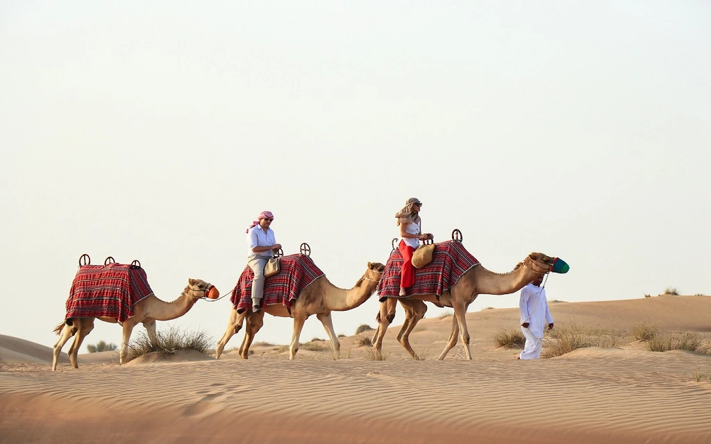 Dubai Desert Safari