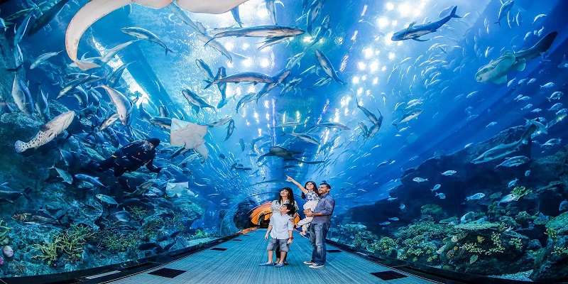 Dubai Aquarium and The Biggest Underwater Aquatic Zoo In Dubai ...