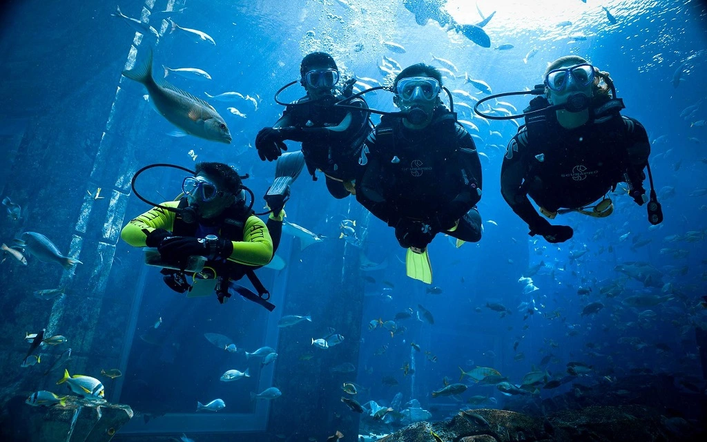 Scuba diving and speciality diving 